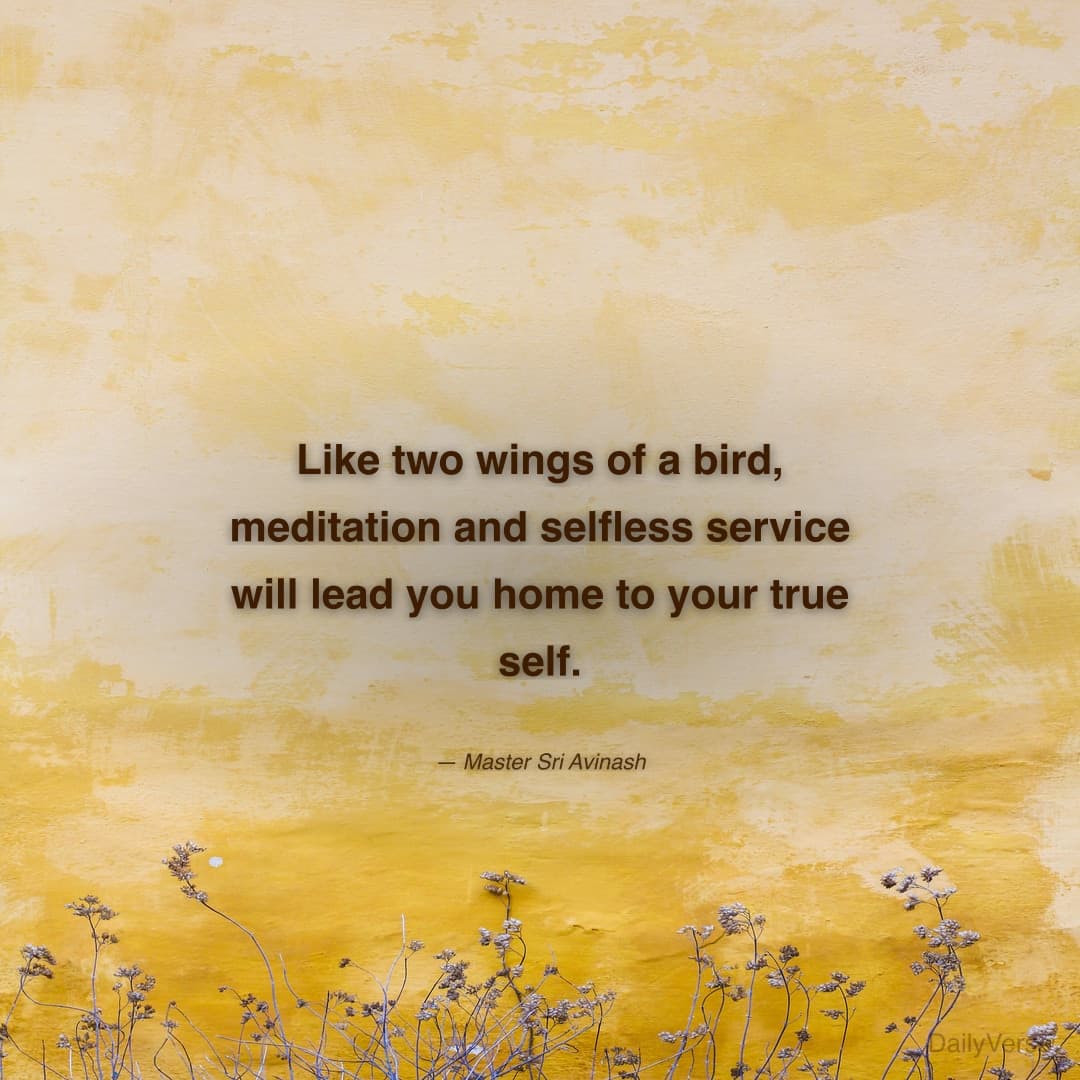Like two wings of a bird, meditation and