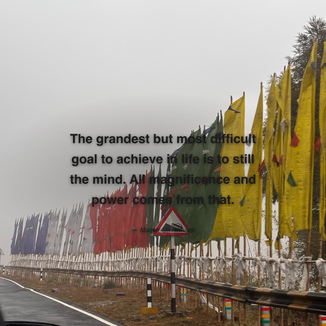"The grandest but most difficult goal to achieve in life is to still the mind. All magnificence and power comes from that." — Master Sri Avinash