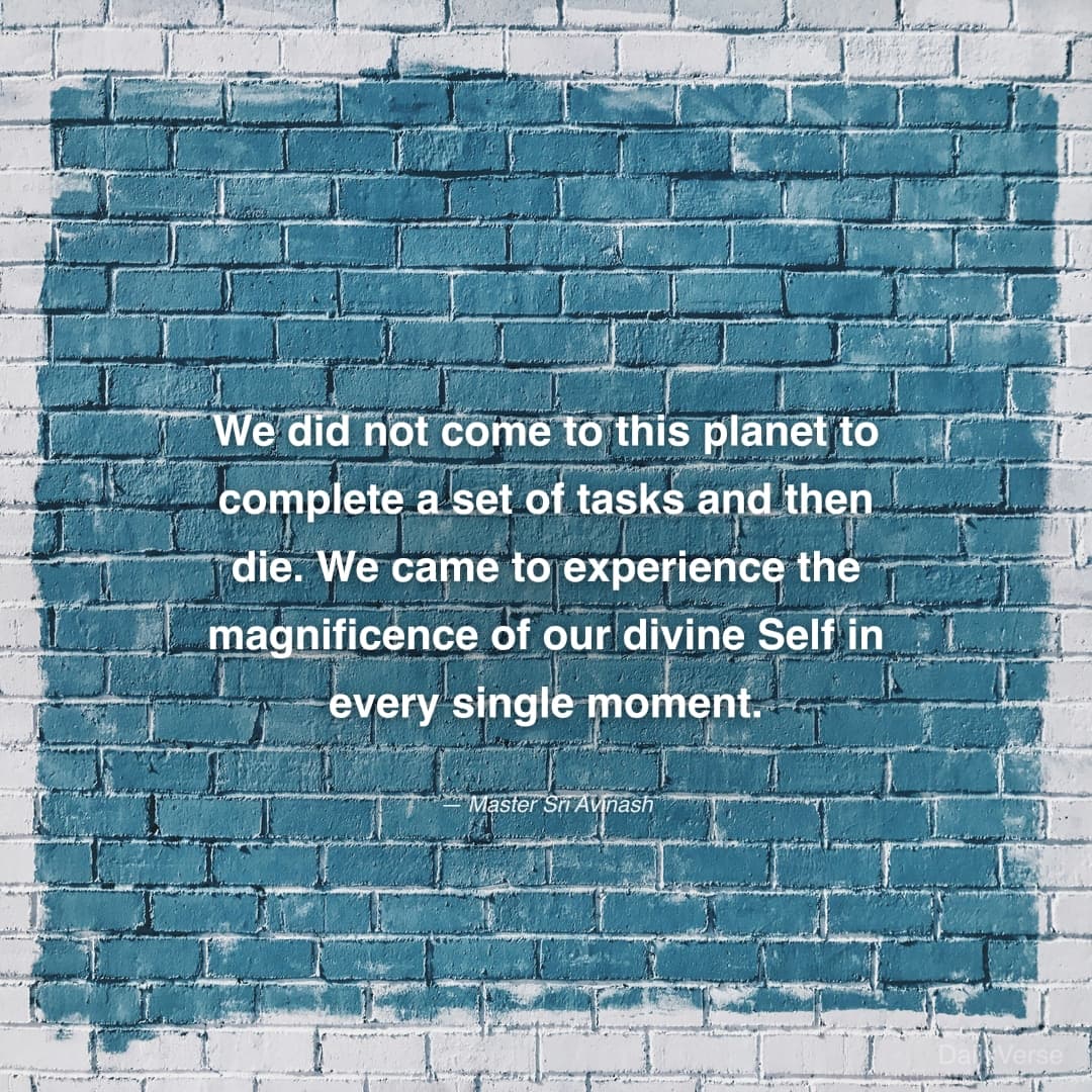 We did not come to this planet to comple