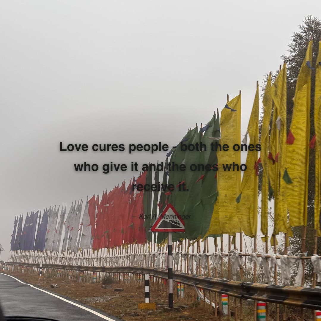 "Love cures people - both the ones who give it and the ones who receive it." — Karl A. Menninger