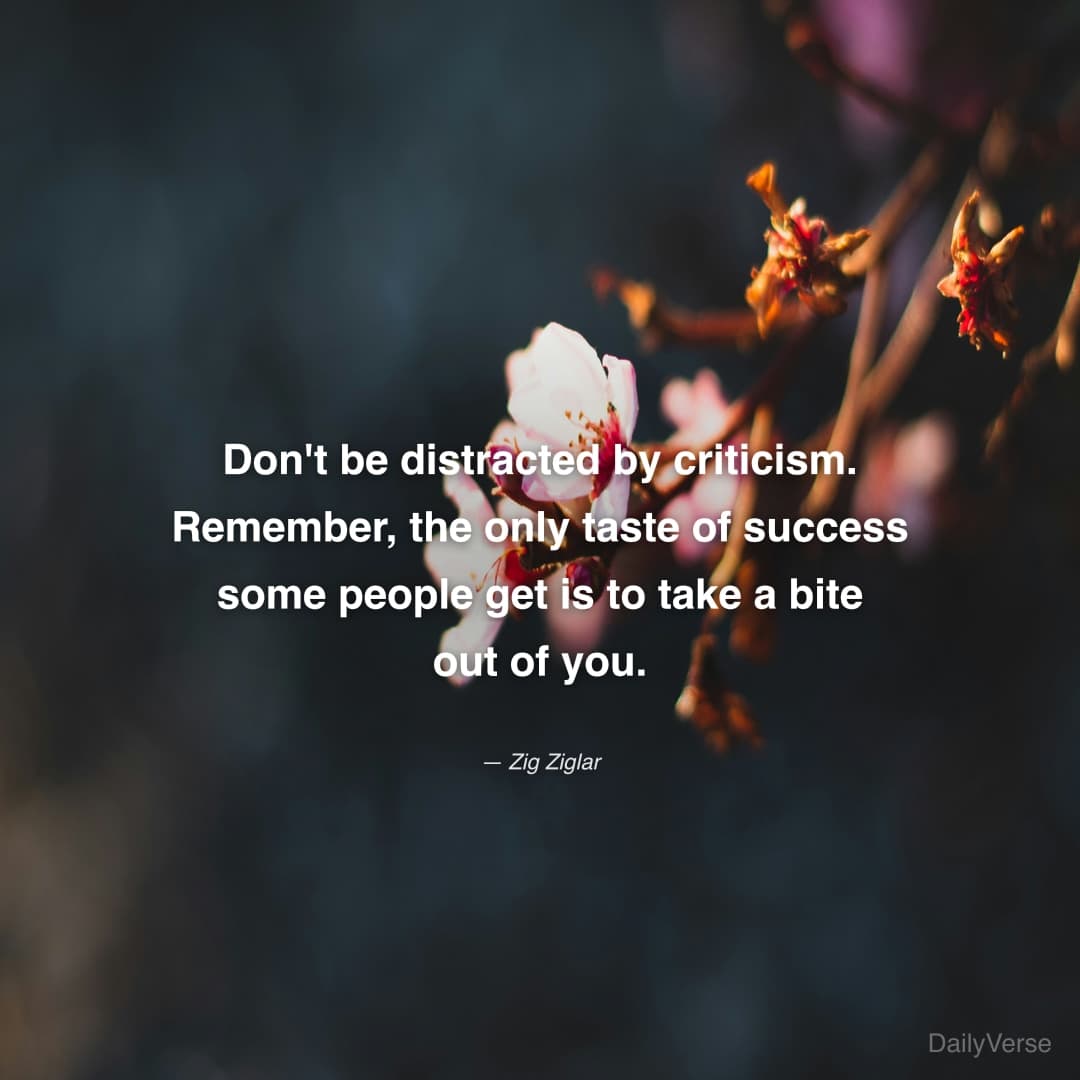 Don't be distracted by criticism. Remember, the on