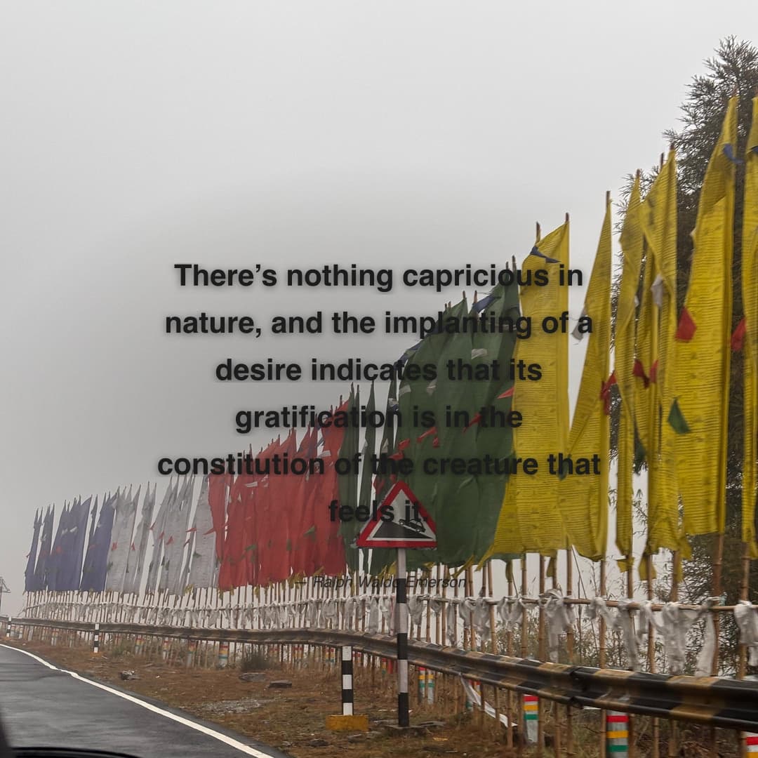 "There’s nothing capricious in nature, and the implanting of a desire indicates that its gratification is in the constitution of the creature that feels it." — Ralph Waldo Emerson